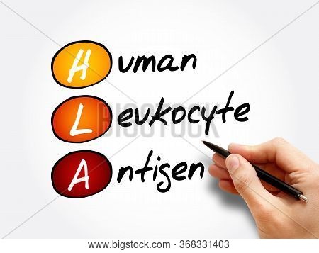 Hla - Human Leukocyte Antigen Acronym, Medical Concept Background