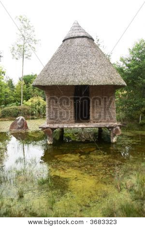 Chaty bagno