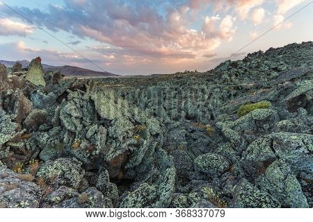 Rocky Desert. Stones Covered With Lichens. Lava Fields Near Mount Ararat In Eastern Turkey, Agri Pro