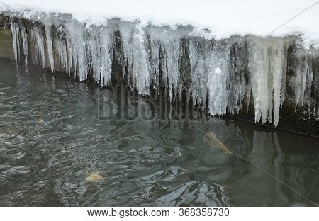 Urban Stream In Winter. Icicles On Concrete River Banks. The Lybid River (kyiv, Ukraine) In The Snow