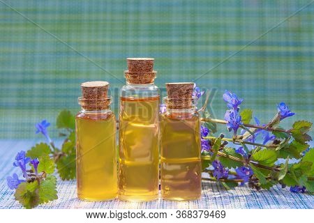 Bugleherb Essential Oil In A Beautiful Bottle On The Wooden Background