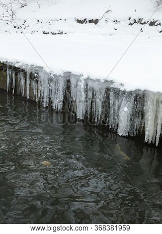 Urban Stream In Winter. Icicles On Concrete River Banks. The Lybid River (kyiv, Ukraine) In The Snow