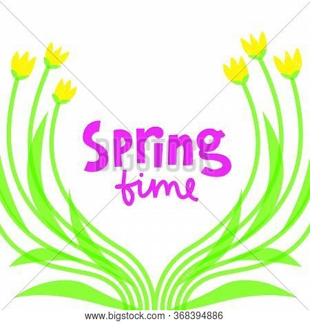 Spring Time Hand Drawn Vector Phrase