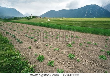 Vegatable Farmland In Front Of Austrian Alpine Village With Typical Church In Stormy Weather, Miemin
