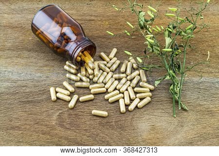 Colorful Drug Pill In Black Bottle And Dried Of Andrographis Paniculata Plant On Wooden Background