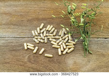 Colorful Drug Pill  And Dried Of Andrographis Paniculata Plant On Wooden Background