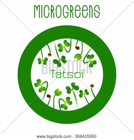 Microgreens Tatsoi. Seed Packaging Design, Round Element