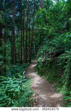 Walk And Discover The Prego Salto Waterfall On The Island Of Sao Miguel, Azores