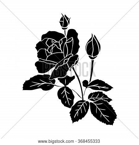 Black Silhouette Rose With Leaves And Buds. Simple Hand-drawn Flat Flower For Icons Or Cards And Log