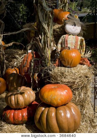 Bambola di Halloween circondato da zucche