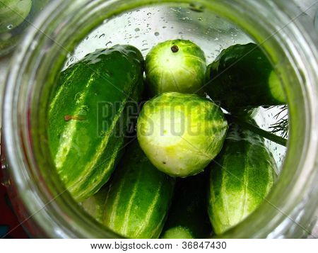 cucumbers which prepare for preservation