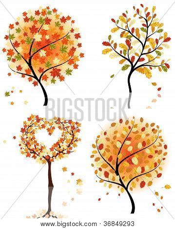 Satz von vier Herbst Baum