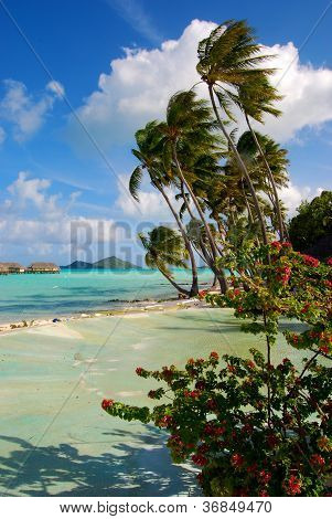 Häämatka Bora Bora