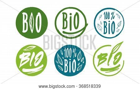 Bio Labels And Icons Design In Vectors.
Hand Draw Vector Illustration For Flyers, Posters, Cards, St