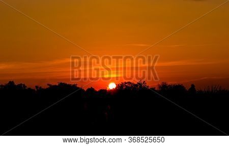 The Sunset On The Forest Have Orange Sky.
