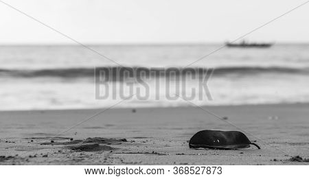 Lonely Leaf On A Beach With Sea Background