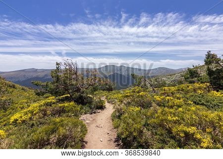 View Of The Surrounding Area Of Peñalara Mountain In Madrid (spain)