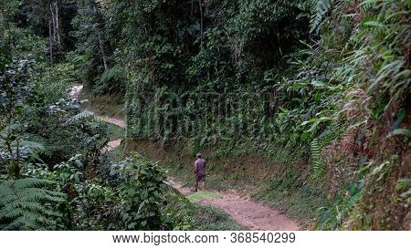 Podocarpus National Park, Ecuador, Man Walking Along The Trail