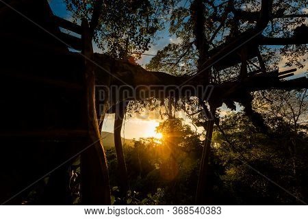 Jungle On Mot Island Phu Quoc