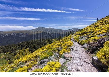View Of The Surrounding Area Of Peñalara Mountain In Madrid (spain)