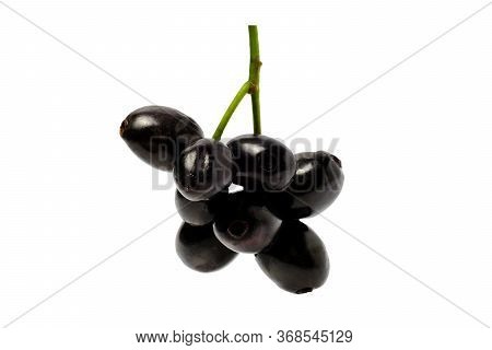 Jambolan Plum Or Java Plum Isolated On White Background With Clipping Path.