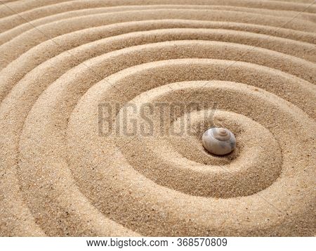 Shell In Circles On The Sand. Zen Concept. Spiral In The Sand
