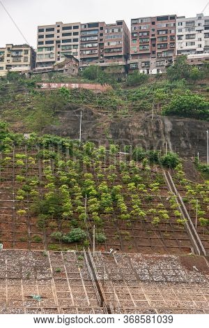Wushan, Chongqing, China - May 7, 2010: Wu Gorge In Yangtze River. Reinforced Slope With Freshly Pla