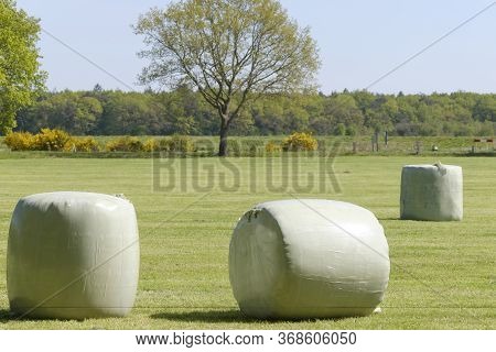 Large Green Field With Lots Of Green Rolls Of Ensilage Or Bales Of Hay, Wrapped In Green Plastic. In