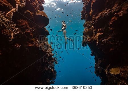 Young Lady Free Diver In A Sexy Swim Wear Ascends To The Surface After Diving Into Two Massive Coral