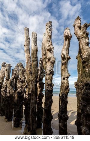 Big Breakwater, 3000 Trunks To Defend The City From The Tides, Plage De L Eventail Beach In Saint-ma