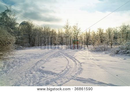 Winter Landscape