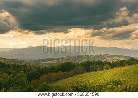 Austria Vineyards In Spring Landscape. Leibnitz Area In South Styria, Wine Country. Tuscany Like Pla