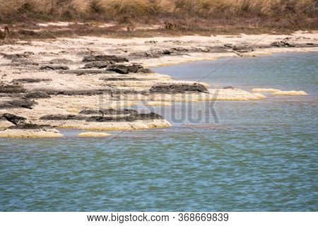 An image of Stromatolites Lake Thetis Western Australia