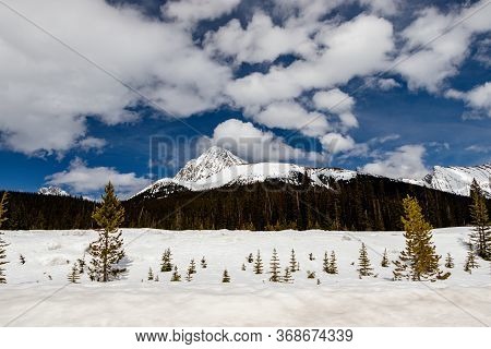 Roadside Views Of The Mountains. Peter Lougheed Provincial Park, Alberta, Canada