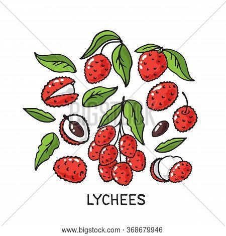 Doodle Lychees Isolated On White Background. Vector Illustration. Design Element For Greeting Card, 