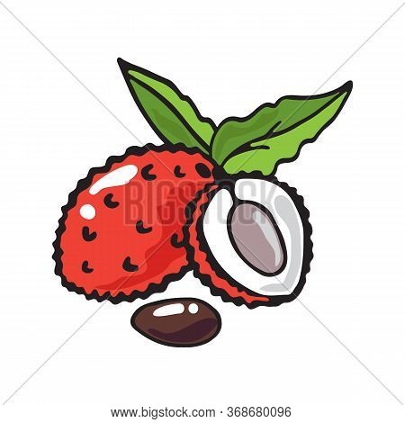 Doodle Lychees Isolated On White Background. Vector Illustration. Design Element For Greeting Card, 