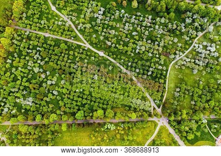 View From The Height Of The Loshitsky Park In Minsk.winding Paths In Loshitsky Park.belarus.apple Or