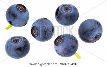 Bilberries Isolated On White Background As Package Design Element