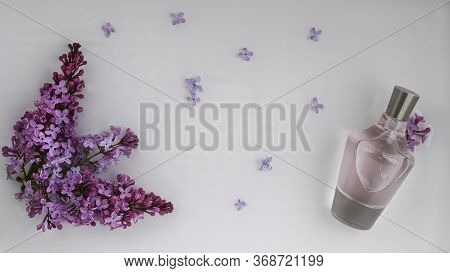 Glass, Perfume, Cosmetic Bottle On White Background With Water And Lilac. Top View, Closeup.