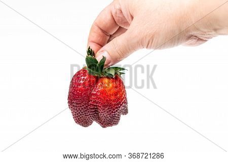 Strawberries On A White Background Isolate. Juicy Red Strawberry