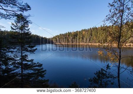 The View Of Lake And Conifer Trees On Background At Tyresta National Park, Sweden.