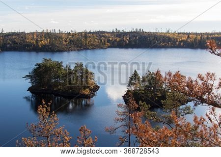 The View Of Nature At Tyresta National Park, Sweden.