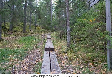 The View Of Wooden Path Through Forest At Tyresta National Park, Sweden.