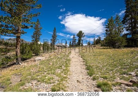 High Alpine Meadow Scenery Along The 20 Lakes Basin Trail In The Sierra Nevada Mountains In Californ