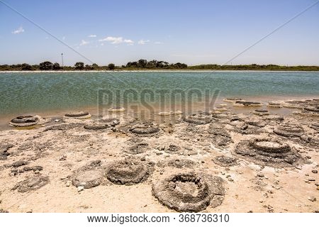 An image of Stromatolites Lake Thetis Western Australia