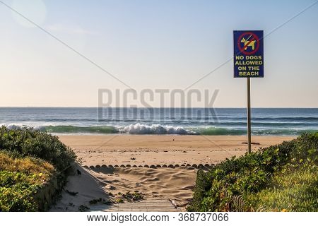 Durban City Beachfront View Promenade
