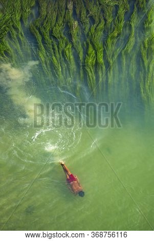 The Boy Was Swimming In The Bengali River And The River Was Full Of Underwater Plants.