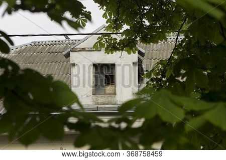 Dovecote On The Roof Of A Residential Building. A Dovecot Window Is Visible Through The Leaves Of A 