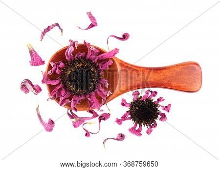 Dried Echinacea Flowers On Wooden Spoon, Isolated On White Background. Petals Of Echinacea Purpurea.