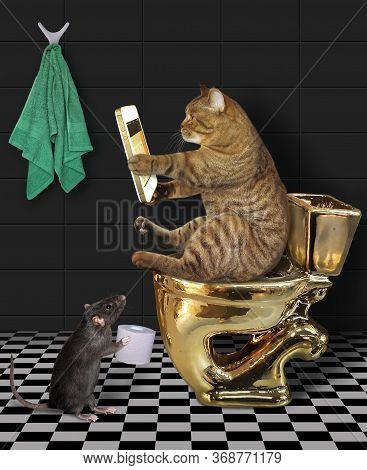 The Beige Cat With A Smartphone Is Sitting On A Gold Toilet Bowl In The Bathroom. A Black Rat Gives 
